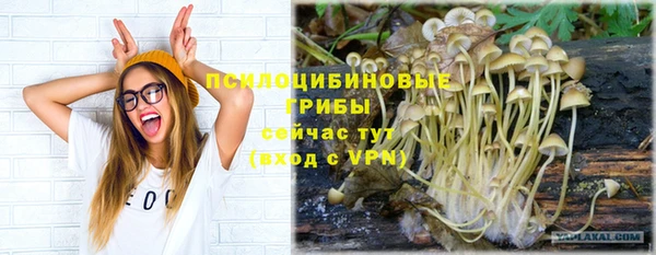 амфетамин Аркадак